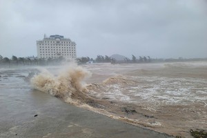 5号台风在河靖-乂安沿海登陆