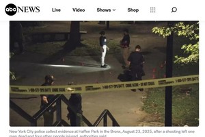 图源：美国广播公司(ABC)报道截图