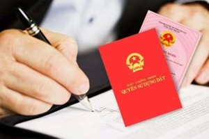 附图（图源：互联网）