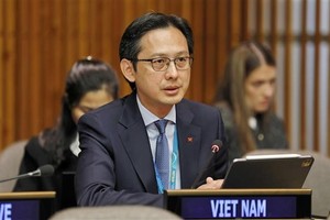 越南驻联合国代表团团长杜雄越大使。
