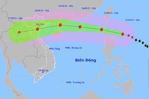 台风的位置和路径。