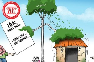 有权要求邻居砍伐有倒塌风险的树木吗？