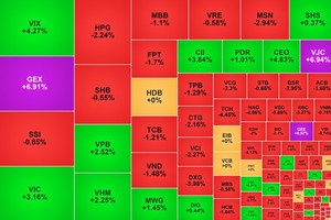 VN-Index指数连创新高后小幅下调（图：互联网）。