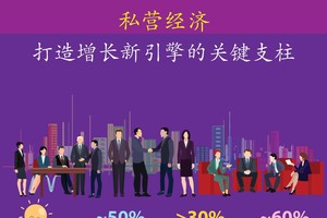 越南民营经济逐步确立其作为国民经济重要增长引擎的地位。