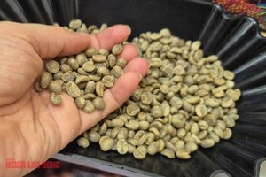 10月24日，咖啡价格走势充满戏剧性。