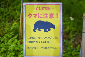 近期日本各地频繁发生熊袭人事件。