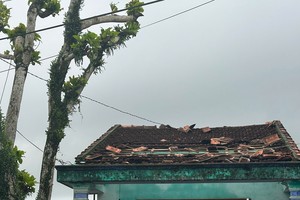 岘港市栴檀乡遭遇龙卷风，使多间房屋屋顶被掀。