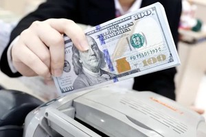 11月17日上午美元卖出价均下降。