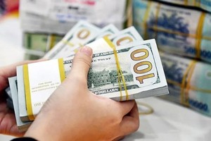 11月26日上午美元价格保持不变。图：互联网