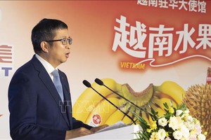 越南驻中国大使范青平发言。