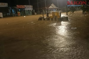 林同省夜间暴雨导致多地受淹和山体滑坡