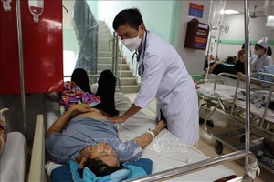  建议严惩胡志明市富美坊疑似食物中毒事件