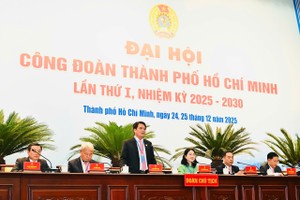 主席团在大会上履行职责。图：越勇