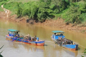 Các thuyền khai thác cát trên sông Đồng Nai thuộc địa phận huyện Cát Tiên, tỉnh Lâm Đồng. Ảnh: ĐOÀN KIÊN