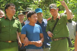Khởi tố đối tượng chủ mưu phá 10ha rừng thông tại Lâm Đồng