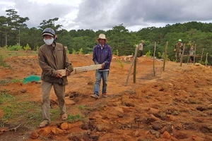 Giải toả rào chắn phân lô đất rừng Đà Lạt