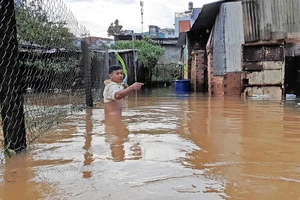 Mưa kéo dài, hơn 100 nhà dân tại phố núi Bảo Lộc bị ngập sâu