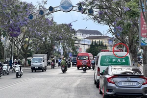 Đà Lạt: Hàng trăm ô tô bị phạt nguội khi tham gia giao thông