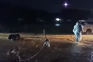 Tìm thấy thi thể người phụ nữ bị nước lũ cuốn trôi ở Lâm Đồng