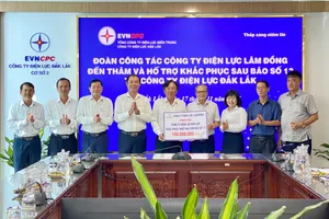 Công ty Điện lực Lâm Đồng hỗ trợ Đắk Lắk và Gia Lai khắc phục thiệt hại sau bão số 13