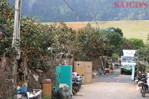 D’ran từng bước hồi sinh sau lũ