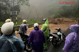Lâm Đồng: Mưa lớn trong đêm gây ngập lụt, sạt lở nhiều nơi