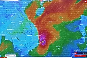 Bão số 12: Nâng mức độ ảnh hưởng lên cấp độ 4, chỉ sau thảm họa