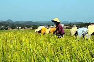 Nông thôn “lột xác” sau 10 năm có “tam nông“