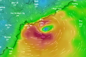 Tâm bão số 9 được dự báo vào Bà Rịa -Vũng Tàu và TPHCM trong sáng hoặc trưa nay 25-11-2018