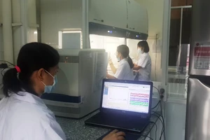 8 phòng thí nghiệm khẩn cấp “truy tìm” virus dịch tả heo châu Phi