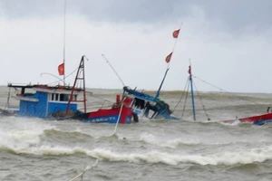 Đã tìm thấy 10 thuyền viên “mất tích” trên tàu chở than Thái Thụy 88