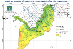 Triều cường sẽ xuất hiện vào dịp tết, nước mặn tiến sâu vào đất liền