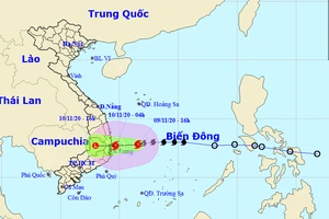 Dự trữ lương thực, có thể cắt điện để phòng chống bão số 12 và 13