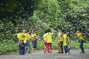 “Tuần lễ Cúc Phương đại ngàn” và “Thêm xanh cho rừng già“