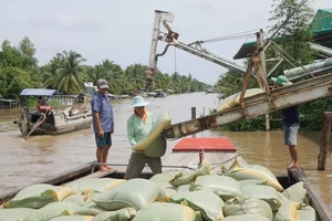 2 phương án “khơi luồng” lúa gạo đang ách tắc