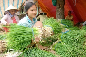 Đề nghị nhân rộng mô hình “tổ công tác” về nông sản tại miền Nam