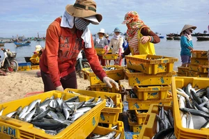 Đề nghị EC không tính các tàu khai thác ở vùng chồng lấn là tàu vi phạm IUU