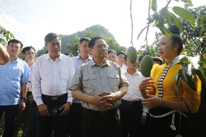 Thủ tướng biểu dương tinh thần “bàn tay ta làm nên tất cả” trong nông nghiệp