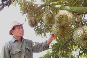 Bộ trưởng Lê Minh Hoan: “Phải siết chặt quản lý, không thể cứ mãi vuốt ve nông dân”