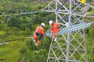 Nhiều tai nạn do vi phạm hành lang điện