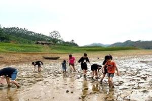 Người dân tranh thủ mò cua bắt cá, bắt ốc trên lòng hồ Thác Bà