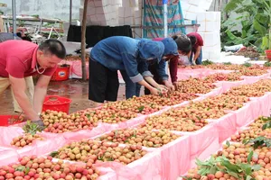 At the conference (Photo: SGGP)