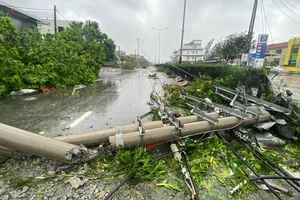 Đề nghị truy tặng Huy hiệu “Tuổi trẻ dũng cảm” cho quân nhân hy sinh trong bão dữ