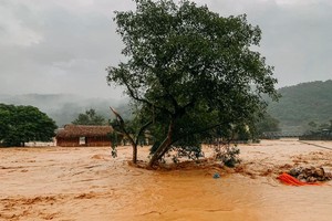 PM demands essential supplies be promptly delivered to typhoon victims 