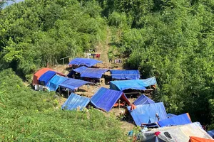 115 missing people found in Lao Cai to be brought down from mountain today