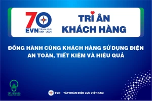 Chào mừng 70 năm tuổi, EVN tổ chức Tháng tri ân người tiêu dùng điện