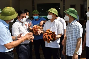 Bộ trưởng Bộ NN-PTNT đoạt giải cuộc thi viết về nông nghiệp, nông dân, nông thôn Việt Nam 