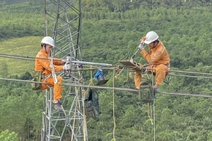 Đường dây 500kV mạch 3 hoàn thành sớm theo tinh thần “vượt nắng, thắng mưa” và “3 ca, 4 kíp”