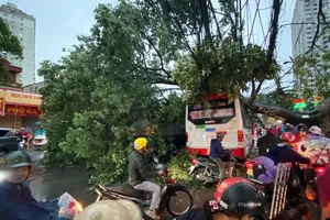 Cơ quan khí tượng: Dự báo chính xác “trận cuồng phong” là bài toán khó