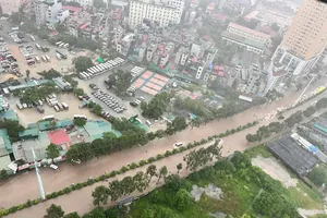 Bão số 5 làm 3 người chết, 13 người bị thương, hơn 10.000 nhà hư hại